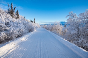 Disposizioni in caso di nevicate